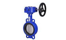 Butterfly Valve