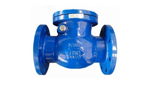 Check Valve