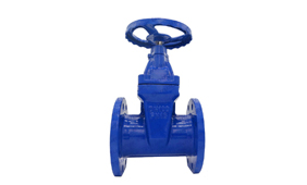 Gate Valve