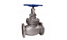 Globe Valve