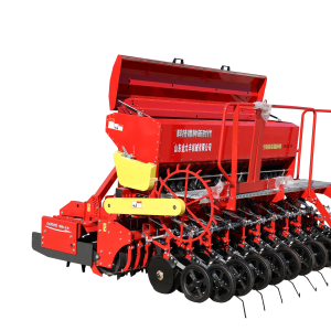 Image_20250609081141