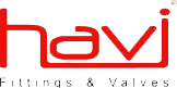 HAVI_logo-removebg-preview